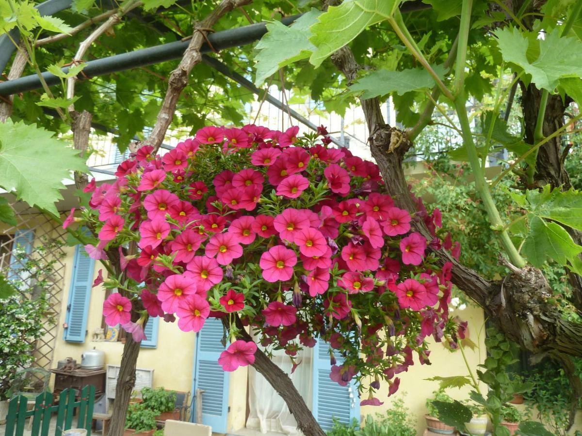 B&B Cascina Marie Bricherasio Εξωτερικό φωτογραφία